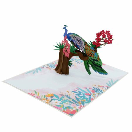 regal peacock