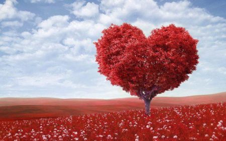 Power of love heart tree scene