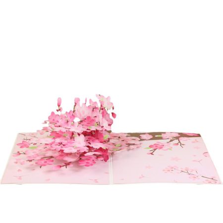 Cherry Blossom pop up card open flat