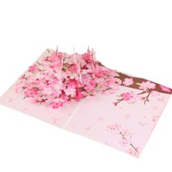 Cherry Blossom pop up card