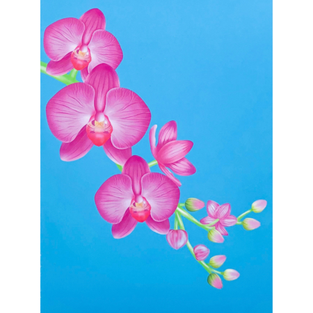 PHALAENOPSIS ORCHID pop up card cover