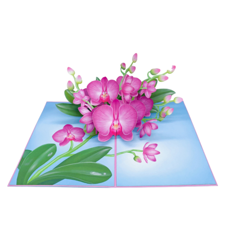 PHALAENOPSIS ORCHID pop up card