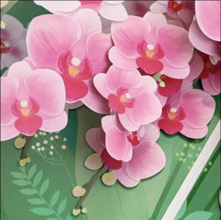 Pink Orchids detail
